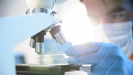 軟件安全測試 軟件安全測試